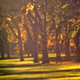 Image for article titled Shooting Challenge Freelensing Gallery 1